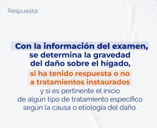 QUE ES LA ELASTOGRAFIA HEPATICA2 QUE ES LA ELASTOGRAFIA HEPATICA2